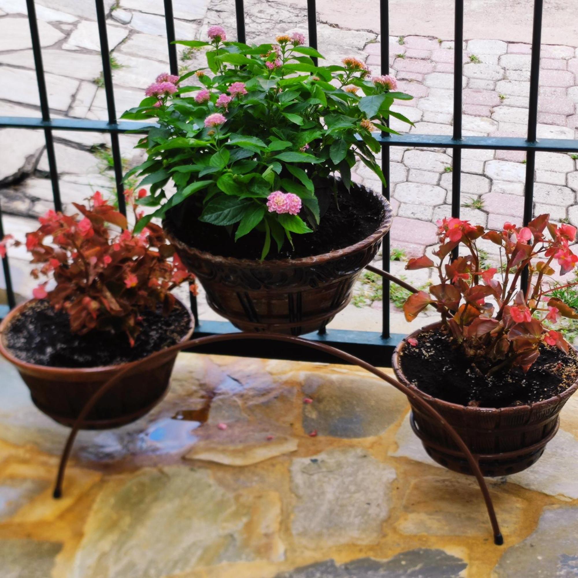 Eleni-Areti Appartement Pefkochori Buitenkant foto