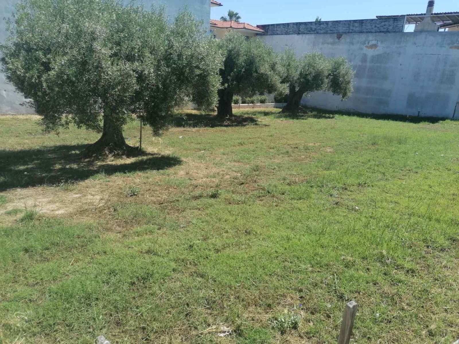 Eleni-Areti Appartement Pefkochori Buitenkant foto
